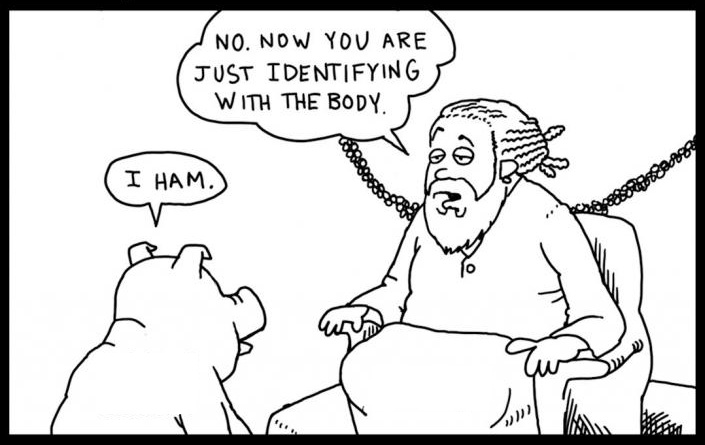 A cartoon about hams.